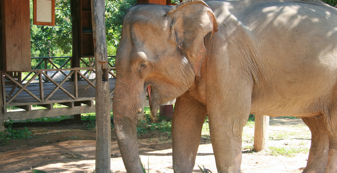 Southern Laos Exploration